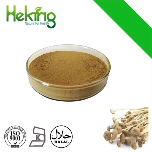 Agrocybe Chaxingu Extract