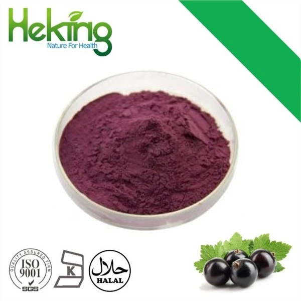 Dub Currant Txiv Hmab Txiv Ntoo Hmoov