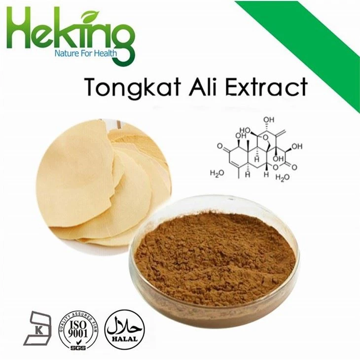 Tongkat Ali Root Extract